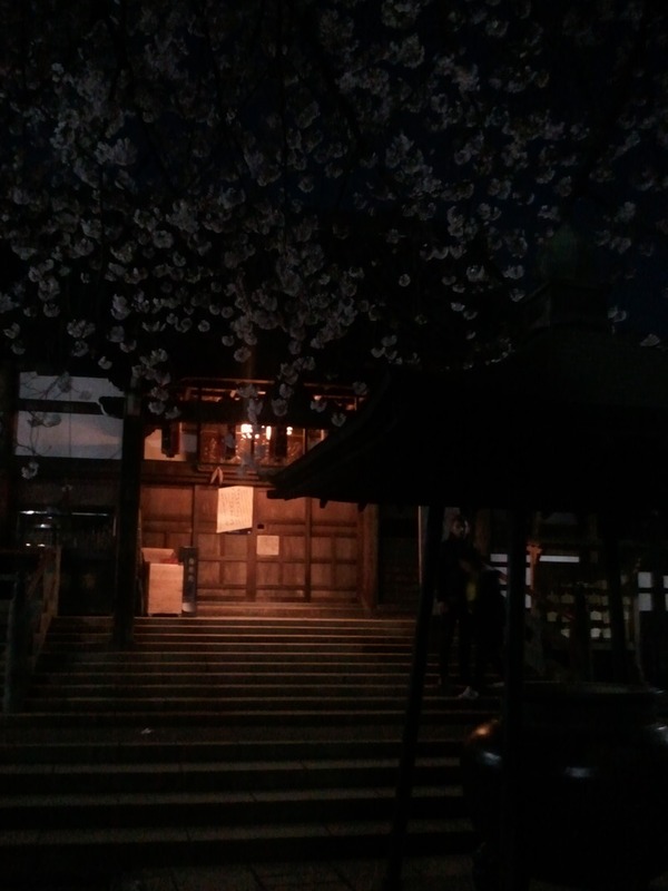 両者のカメラの実力差が最も出た写真。「Galaxy S」のほうはお寺の灯りがなんとか写っているという感じだが、「Galaxy S10+」のほうは桜も、手前の香炉もしっかり写っている