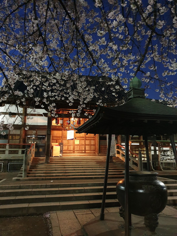 両者のカメラの実力差が最も出た写真。「Galaxy S」のほうはお寺の灯りがなんとか写っているという感じだが、「Galaxy S10+」のほうは桜も、手前の香炉もしっかり写っている