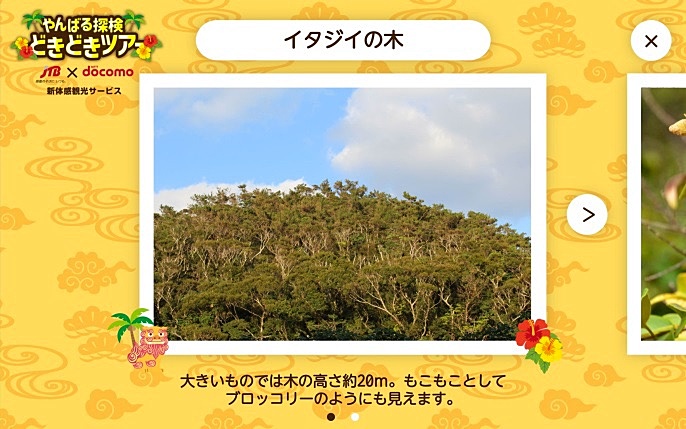 ツアールート上から見える景色を画像+テキストで紹介