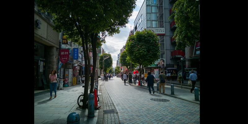 チュートリアルで習ったパラメーターを中心に補正。「ハイライト」を下げることで雲やわずかにある青空が分かるようになった。「シャドウ」を上げると街路樹の葉にディテールが戻り、「自然な彩度」を上げると赤や青が分かりやすくなった。路面を見ると全体がやや青被りしているのが分かる。季節感は希薄なものの、これはこれでアリという結果だろうか