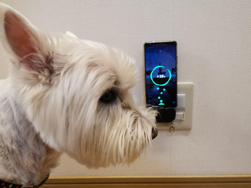 スマホを上部のType-Cプラグに挿して充電開始