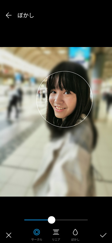 撮影した写真はこうした形で編集することもできる