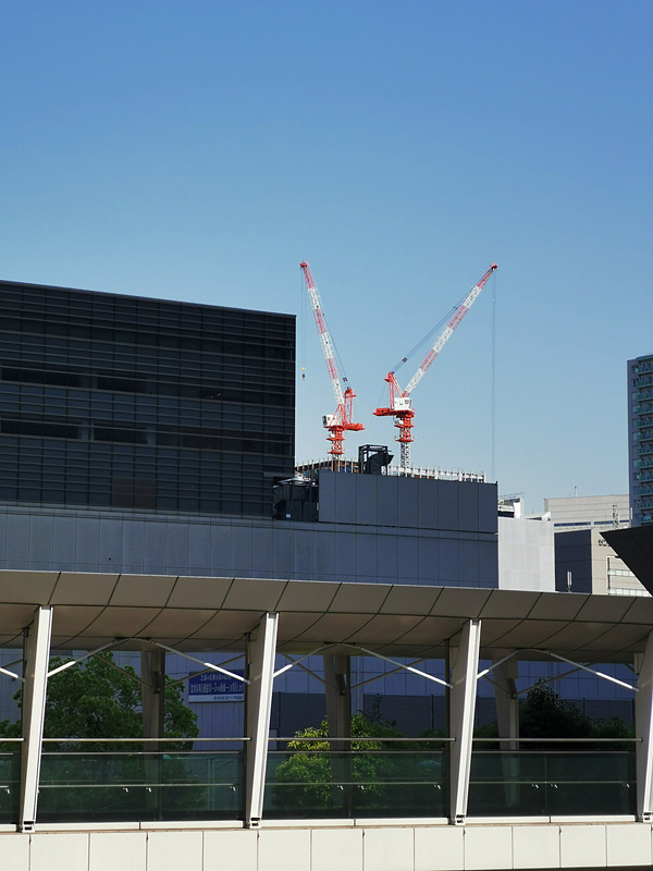 望遠で中央のクレーンを撮影