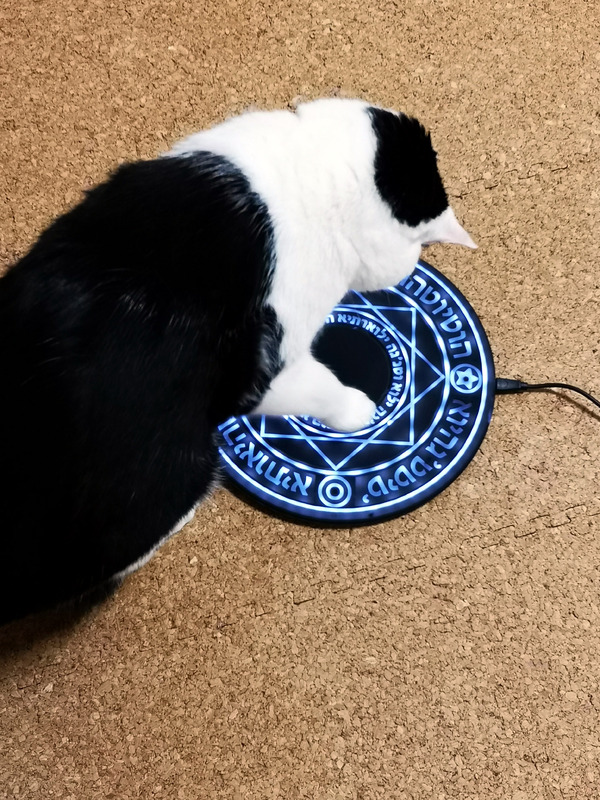 撮影後うっかりかたづけないでおいたら魔獣が召喚されてしまった（笑）