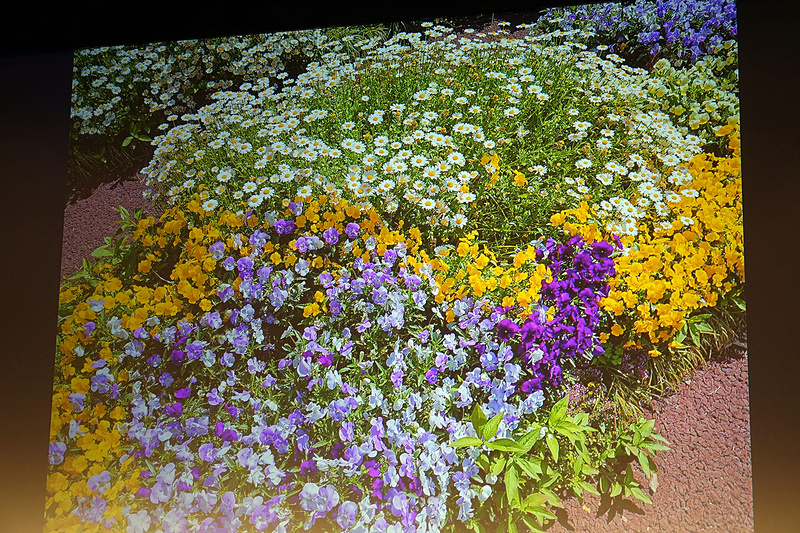 萩庭氏が撮影した写真を紹介