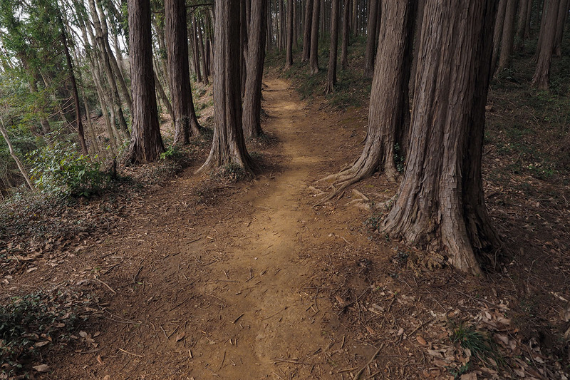 こんなような未舗装路。アップダウンが激しかったりしますが、RIDGE-RUNNERだと拍子抜けするほど容易に走れてしまいます。