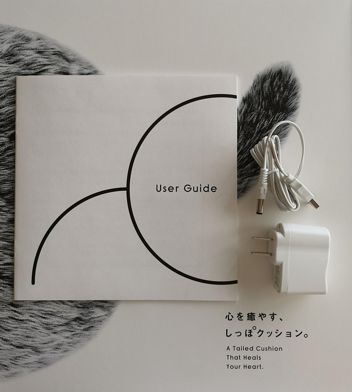 ユーザガイドは大判で分かりやすい。充電端子はできたらUSB Type-Cでやってほしかった