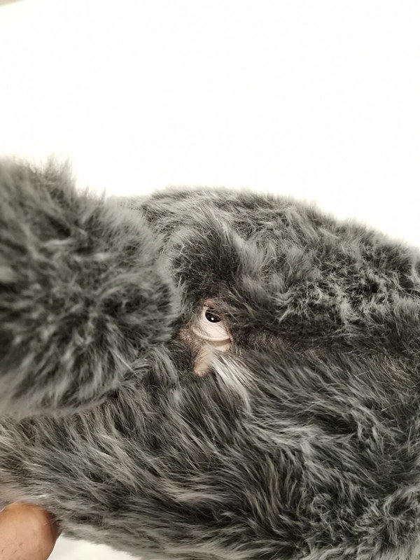 毛むくじゃらのしっぽの横の毛をかき分けると充電ポートが見えてくる