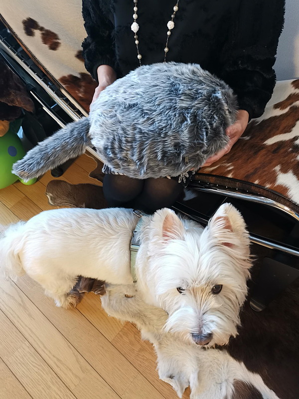 家人がクーボを大事そうに抱えても、幸か不幸かワンコも余りジェラシーも興味もなし