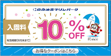 配布されるクーポンの例