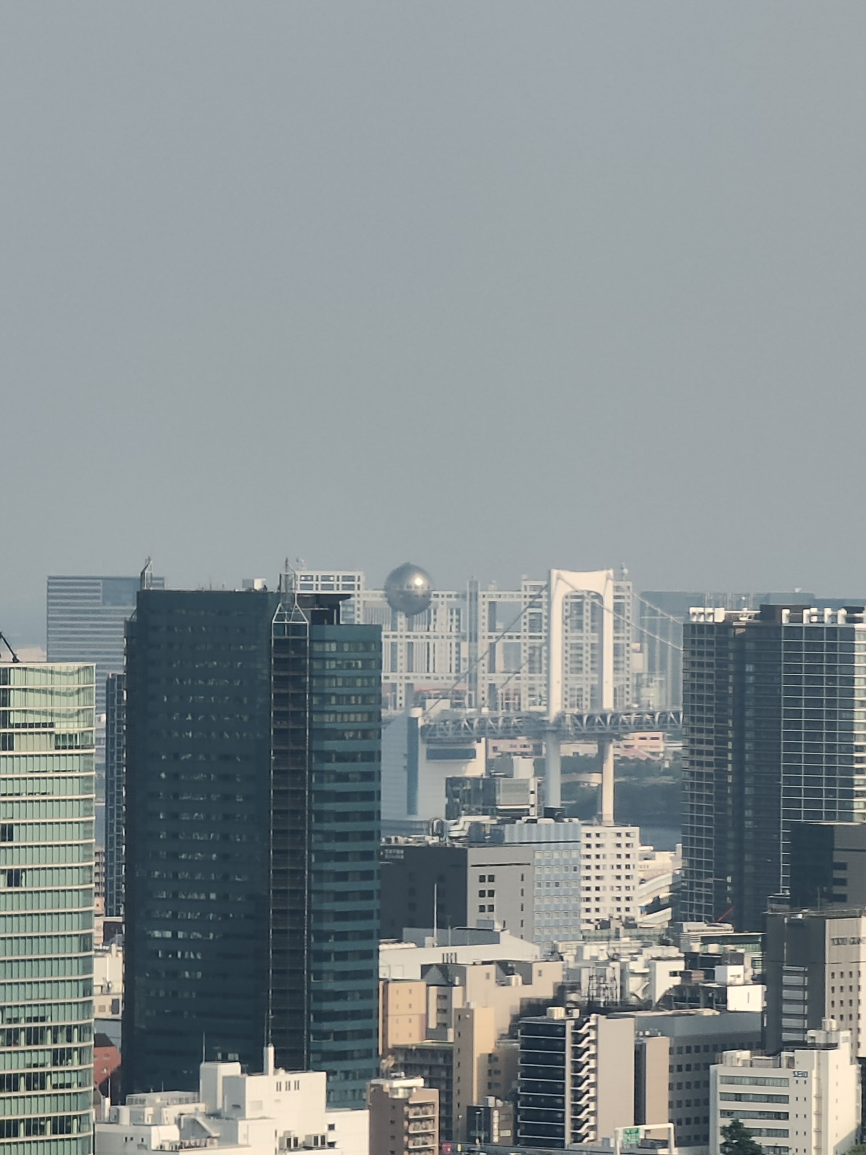 ハイブリッド10倍ズームでの作例