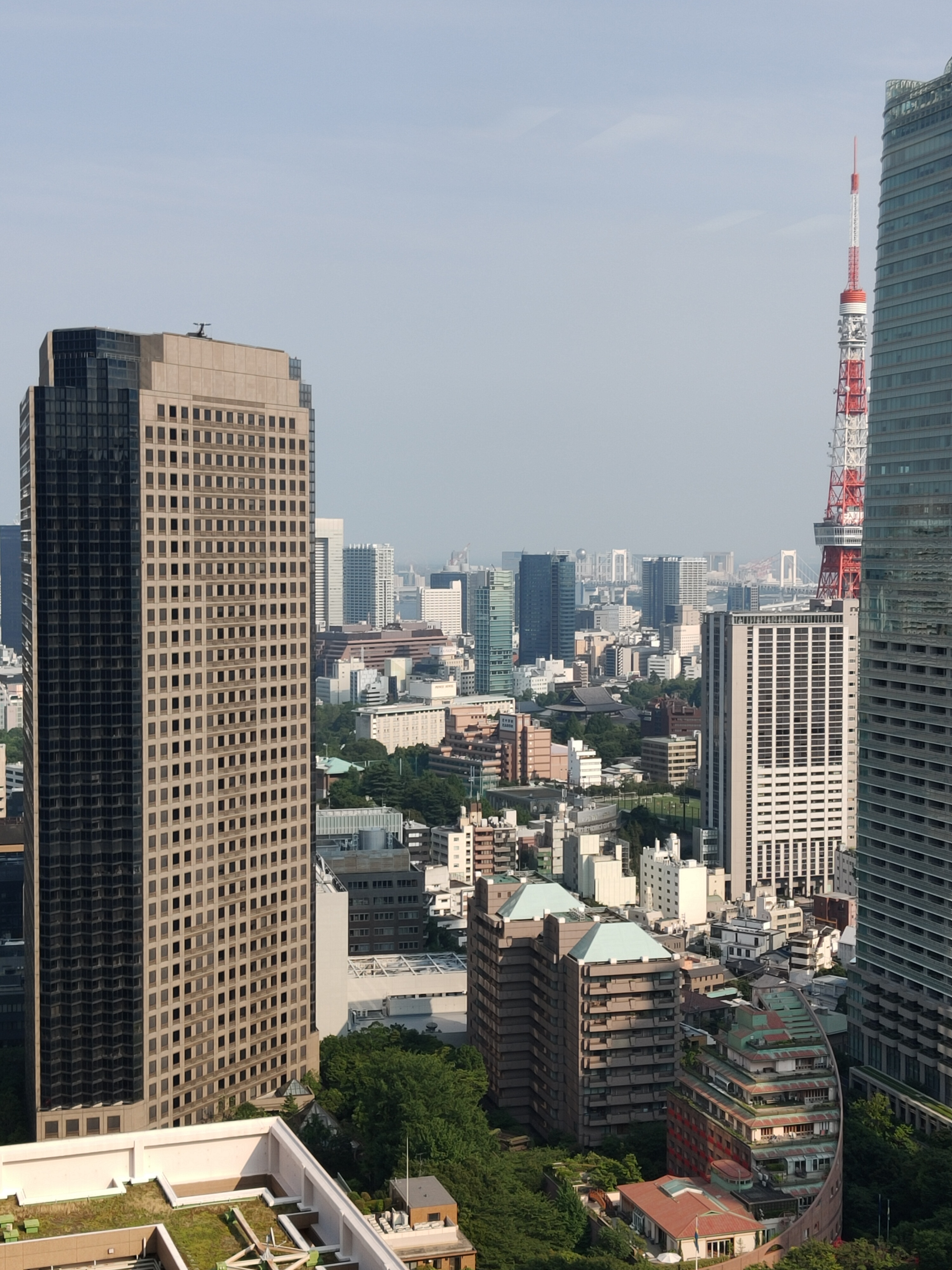 2倍ズームでの作例