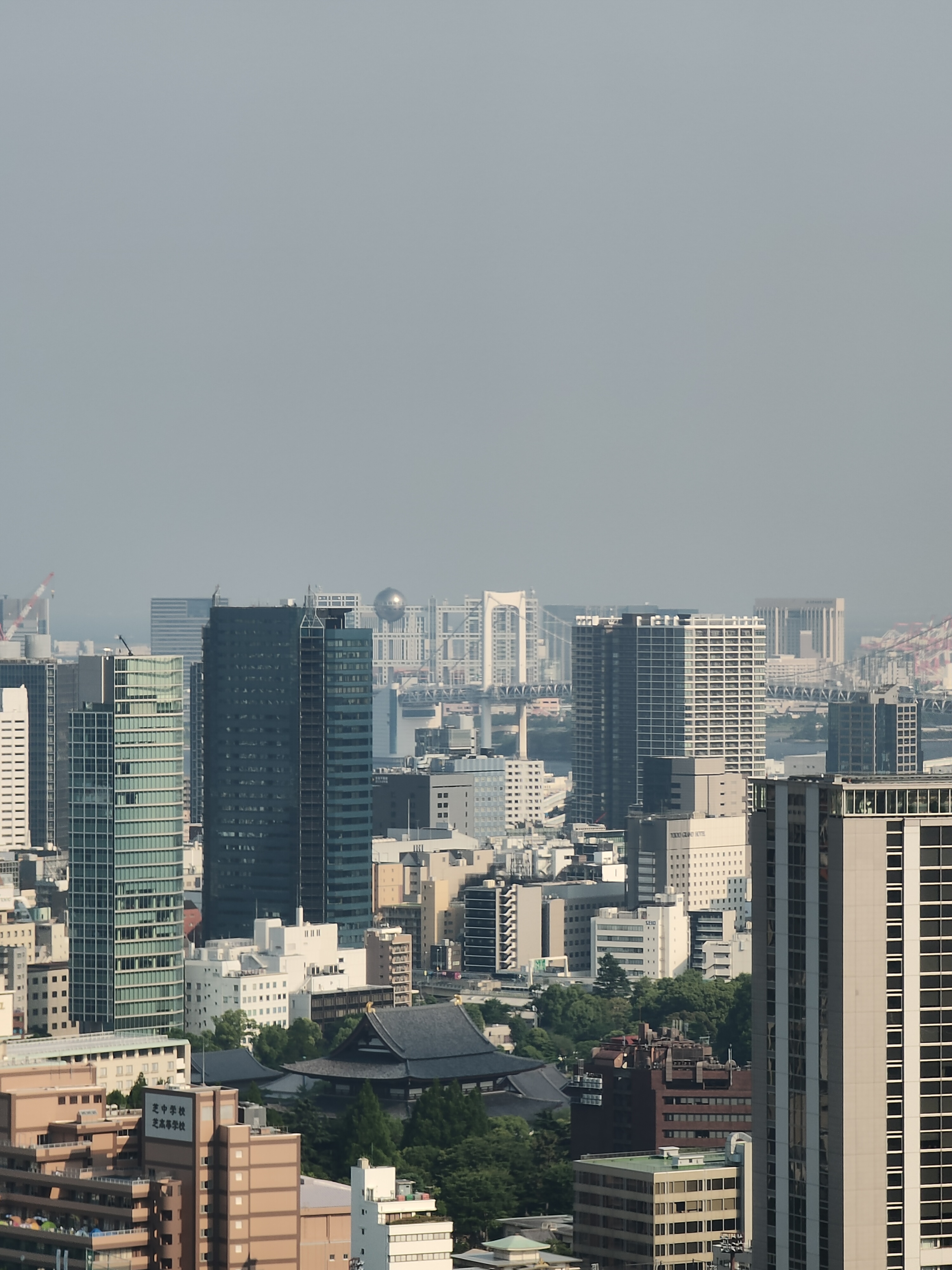 6倍ズーム（光学5倍）での作例