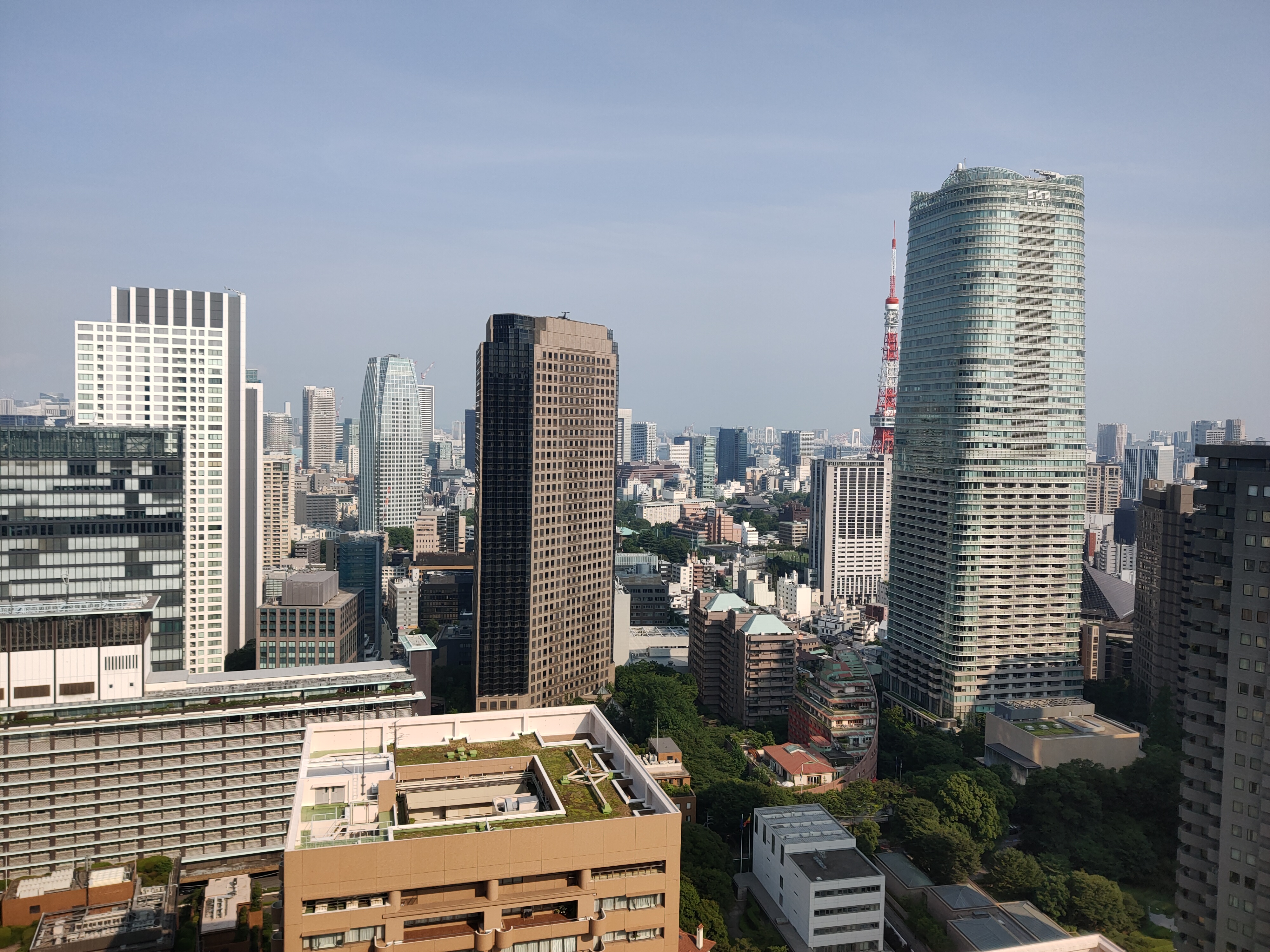 標準ズーム倍率（1倍）の作例