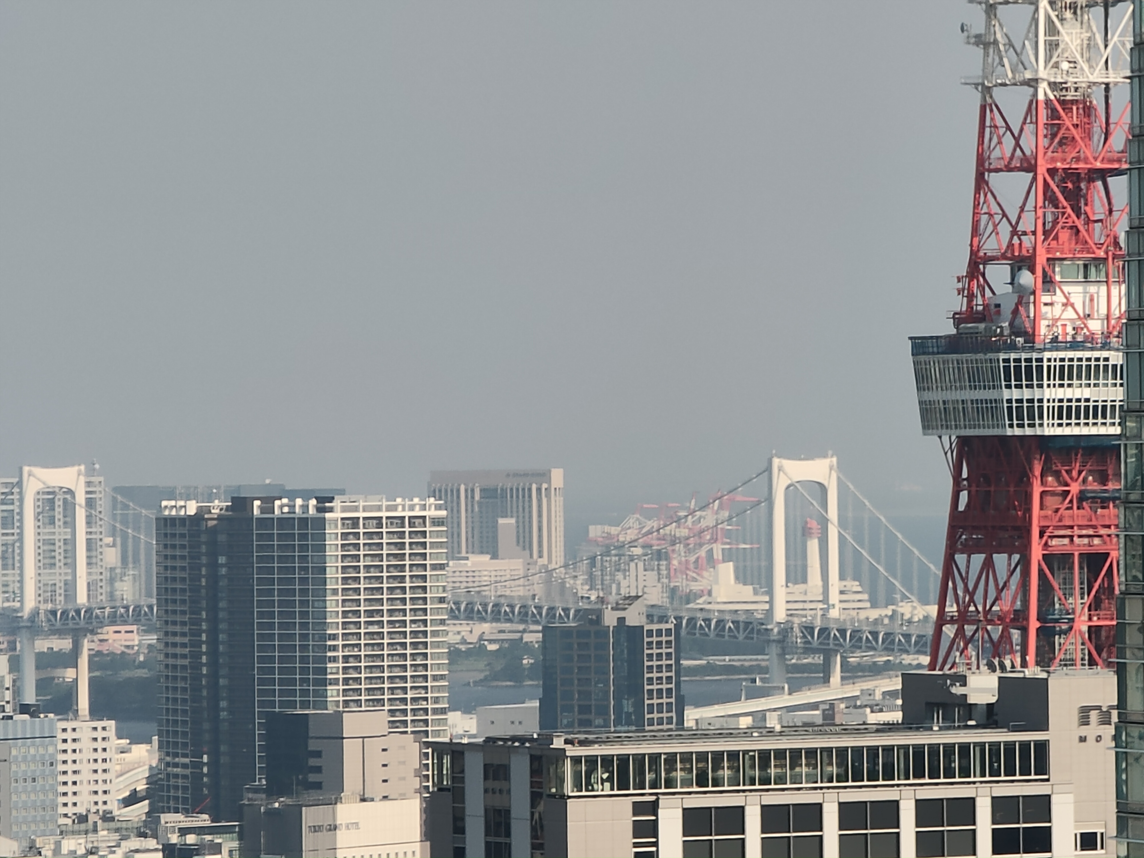 ハイブリッド10倍ズームでの作例