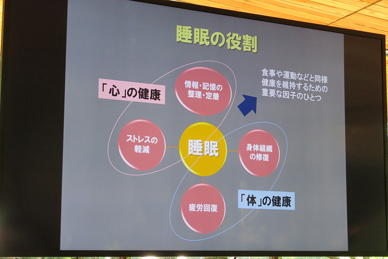睡眠には疲労回復だけでなく、記憶の整理など重要な役割が多くある