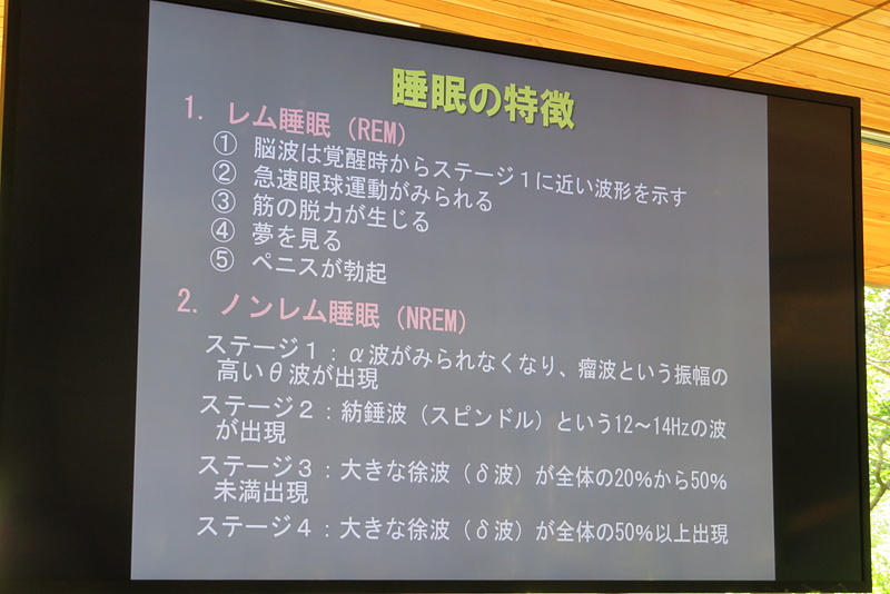 レム睡眠は睡眠全体の20％ほど、ノンレム睡眠は80％ほどだという