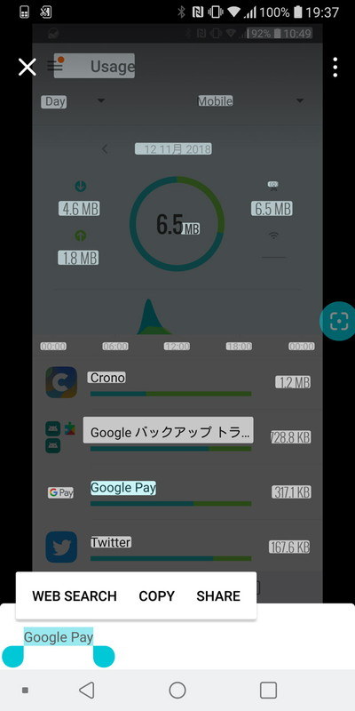 画像に含まれるテキストを抽出し、コピーやWeb検索が可能