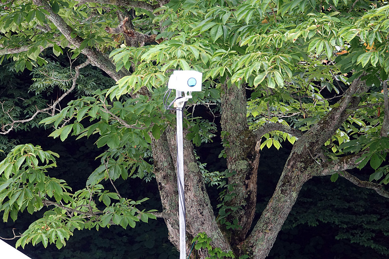 カメラで捉えた映像を5G経由で伝送