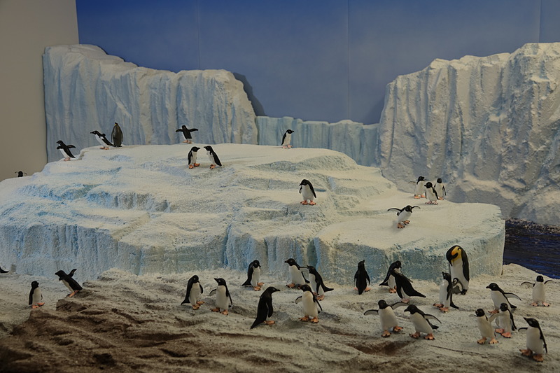 キッザニア東京でのジオラマを用いた観察の様子