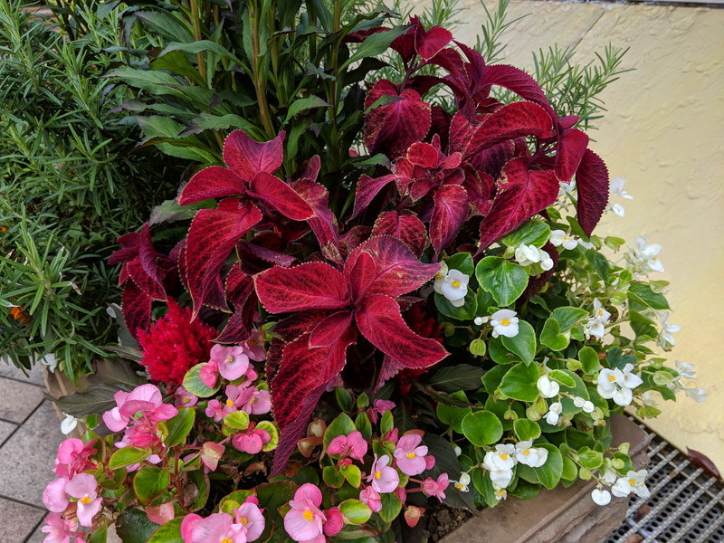 （参考）Pixel 3a XLで同様に撮影