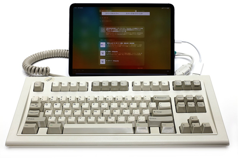 適切なアダプター類やケーブル類を使えば、USBキーボードやPS/2キーボードをつないで使うこともできます。なかなか愉快。さらには有線LAN接続してインターネットを使えたりも。高速♪