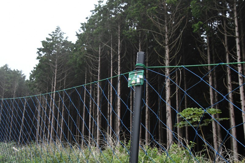 写真中央の柱に取り付けられている物が振動検知センサー。実験用のため基板を樹脂皮膜で覆った簡素な作りだが、いずれは防鹿柵への組み込みなども検討