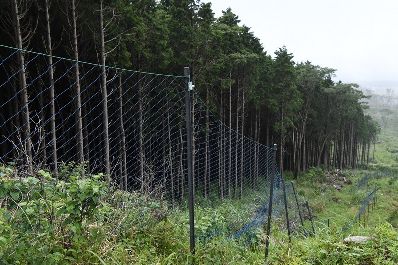 防鹿柵には斜め方向にネットが張られており、シカやイノシシ、時にはウサギなどが引っかかり穴を開けてしまうことがある