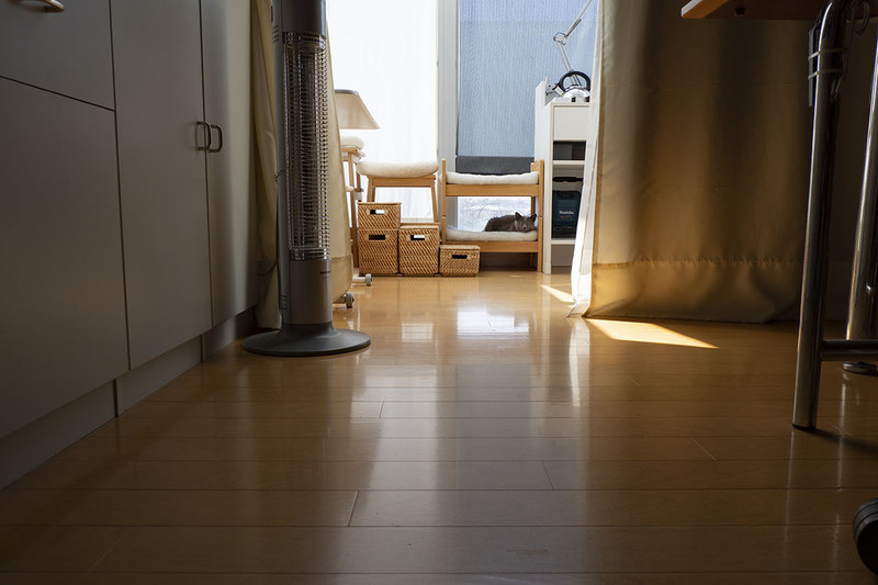 けっこうな倍率の望遠レンズとして使えるわけですが、近接撮影距離も短いので、室内でも望遠撮影を楽しめます。