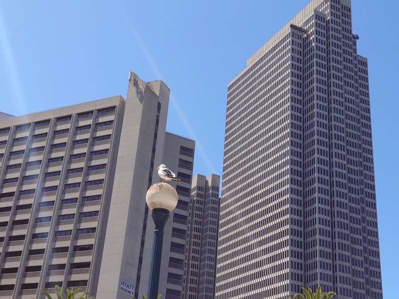 左の写真が標準カメラ、右の写真が2倍望遠カメラ。もう少し寄りたい、という時に便利