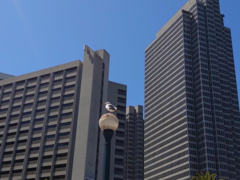 左の写真が標準カメラ、右の写真が2倍望遠カメラ。もう少し寄りたい、という時に便利