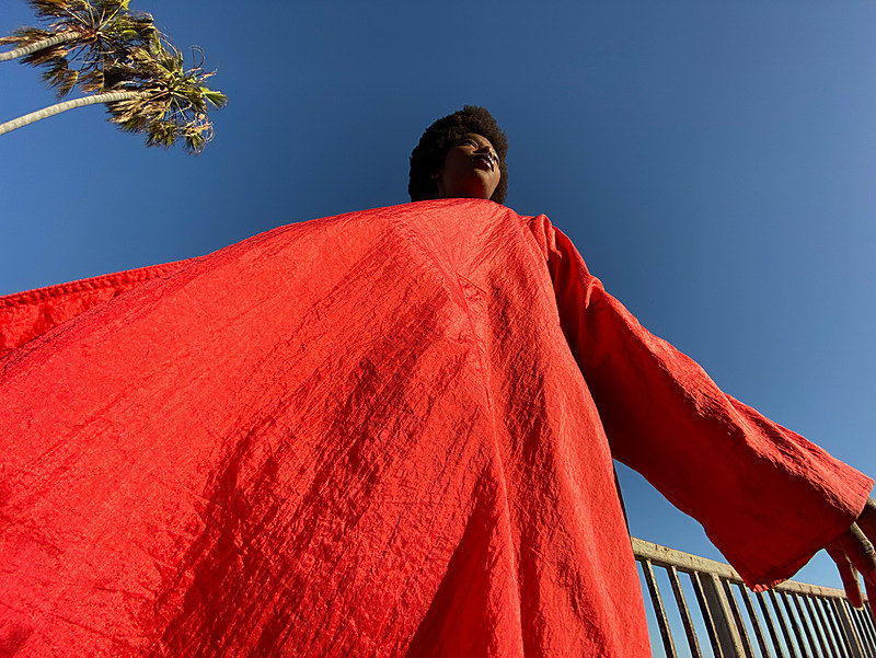 アップルによる超広角カメラの作例