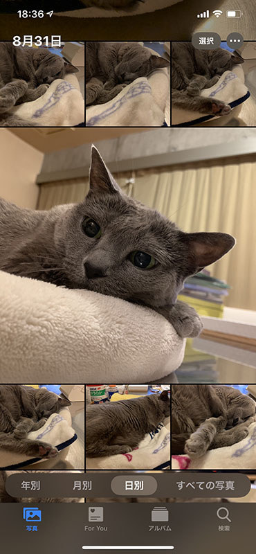 左から、年別、月別、日別、で写真を表示した様子。状況に応じてシームレスに表示が変わり、例えば年別で特定年月をタップすると月別表示となり、そこから特定月日をタップすると日別表示へと推移します。年別・月別・日別の推移はピンチイン・アウトでも行えますので、非常に直感的に画像ブラウズを進めていけます。