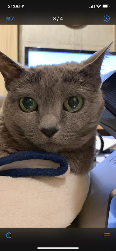 カード内のファイルがサムネイル表示されました。JPEGファイルやTXTファイルは、その内容を問題なく表示できました。