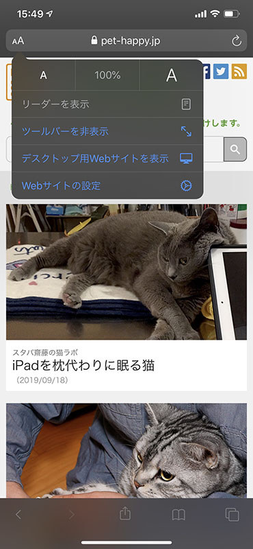 Safariで表示中のページの文字サイズは、ツールバー左側から手早く変更できます。