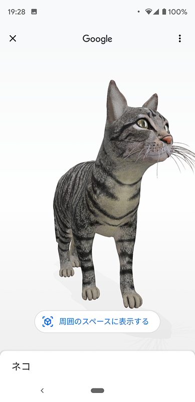 らしい動きを見せてくれるARな猫