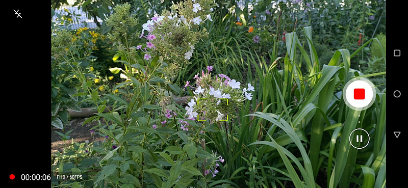 「モーショントラッキング」モードを利用すると、フリップカメラが自動で動き、タップした被写体を追い続ける。ペットや風で揺れる植物も常にピントが合った状態で撮り続けられる