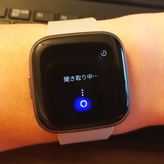 versa2_m.jpg