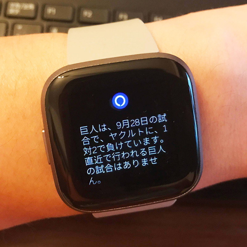 「野球の結果」などと、適当なことを話しかけても回答してくれるのが楽しいです