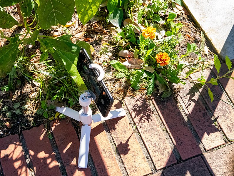 使用中のサイズ感はこんな感じ