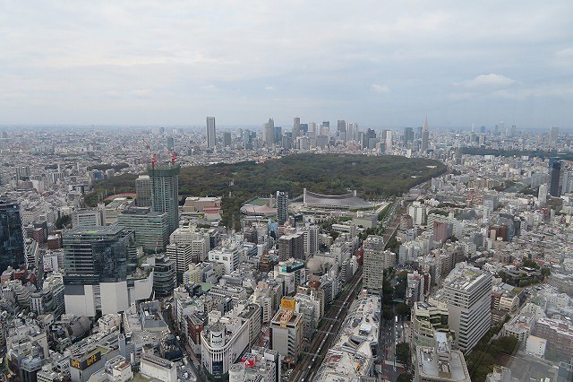 屋上より明治神宮方面を臨む