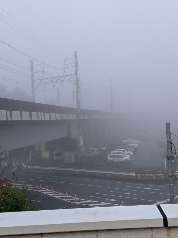 夜間モードにして撮影した霧の中の線路。鮮明さに関しては変わった気がしない