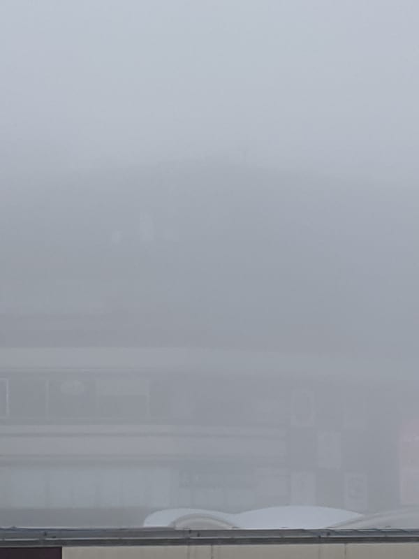 ズームで撮った写真。何もわかりません