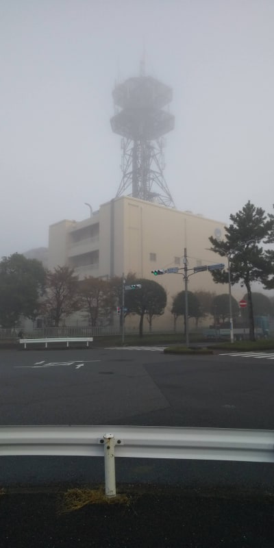 ちなみにこっちはAQUOS Sense2で。うん、写ってますね。