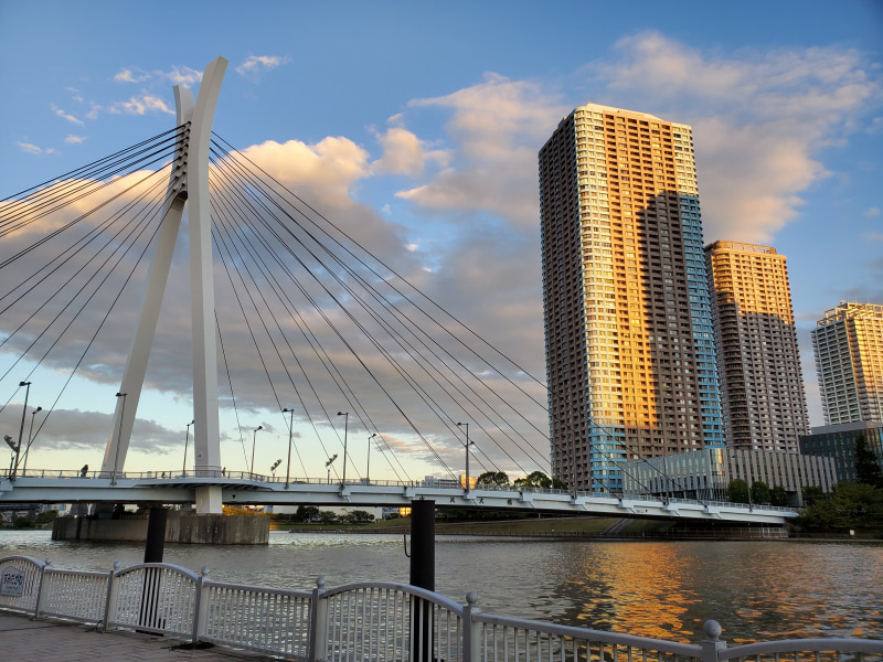 こちらがモーションフォトで撮影した画像（HEIFからJPGに変換済み）。普通の写真ですが……