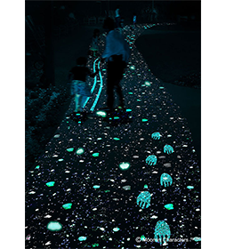 みんなの足あとの道