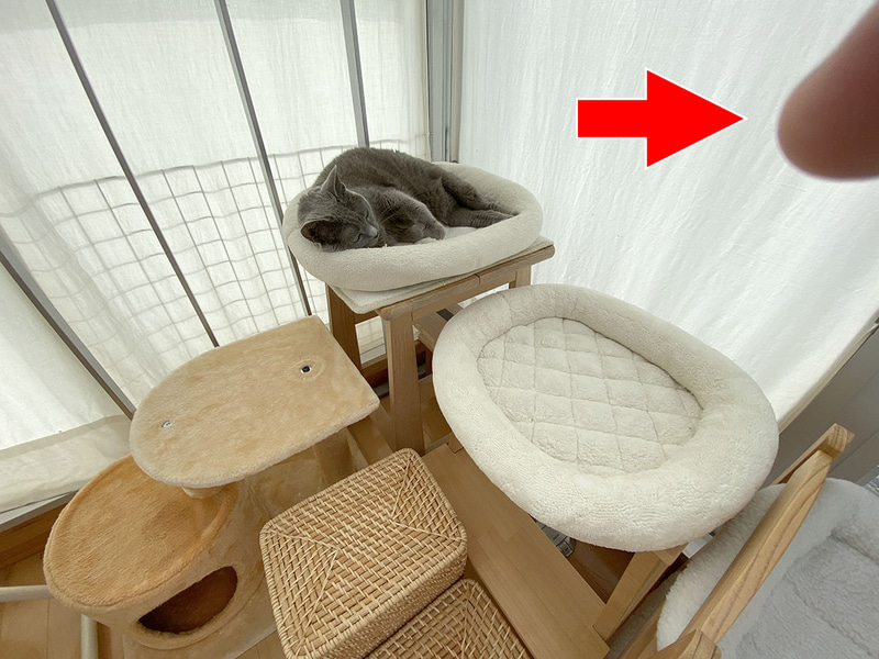 ダム写真に指！　猫写真にも指！　気軽なスナップなら「まあいいや」で済みますが、仕事用の写真となると後でレタッチによる「指消し」が大変。