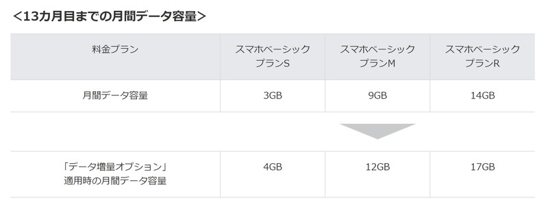13カ月目までの月間データ容量