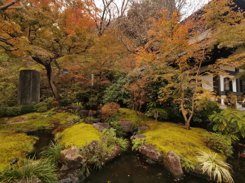 nova 5Tでの撮影。WB（ホワイトバランス）は曇りモード