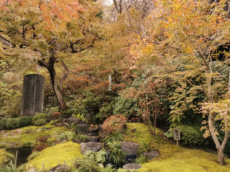 WBを曇りと電球で撮り比べた。角度が少々違ってしまったが、色で印象はだいぶ異なることが分かっていただけるだろうか
